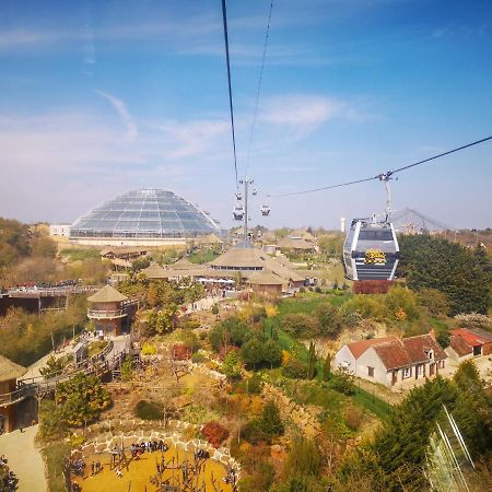 Le Chant Des Oiseaux, 3Km Du Zoo De Beauval, Parking Gratuit ,Wifi Et Netflix Gratuits Сен-Анян Екстериор снимка