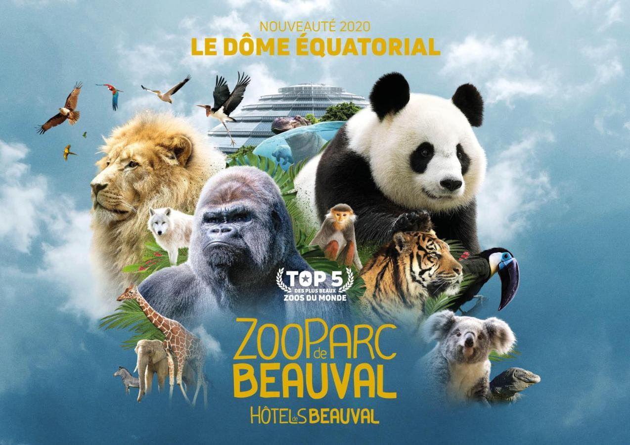 Le Chant Des Oiseaux, 3Km Du Zoo De Beauval, Parking Gratuit ,Wifi Et Netflix Gratuits Сен-Анян Екстериор снимка